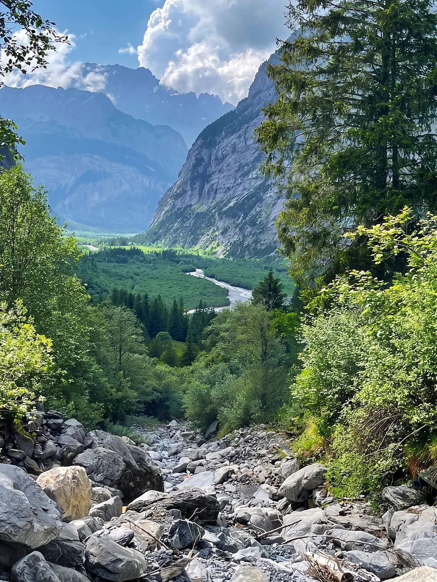 Blick über Geröll und Wald hinaus ins Tal